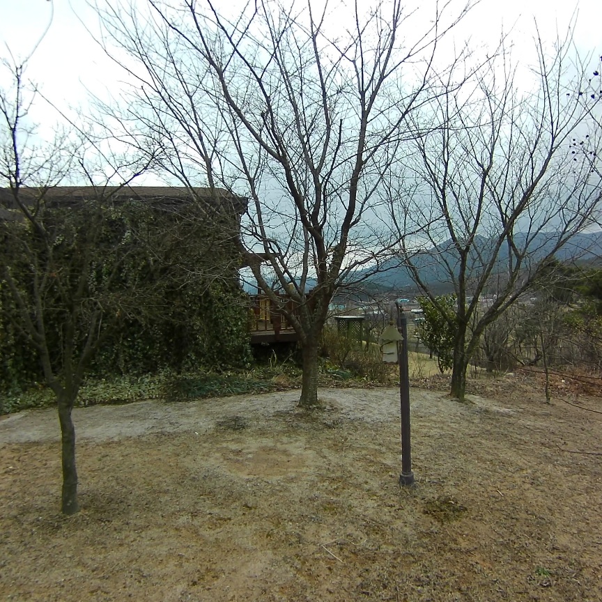 VideoCapture_20240308-200224.jpg