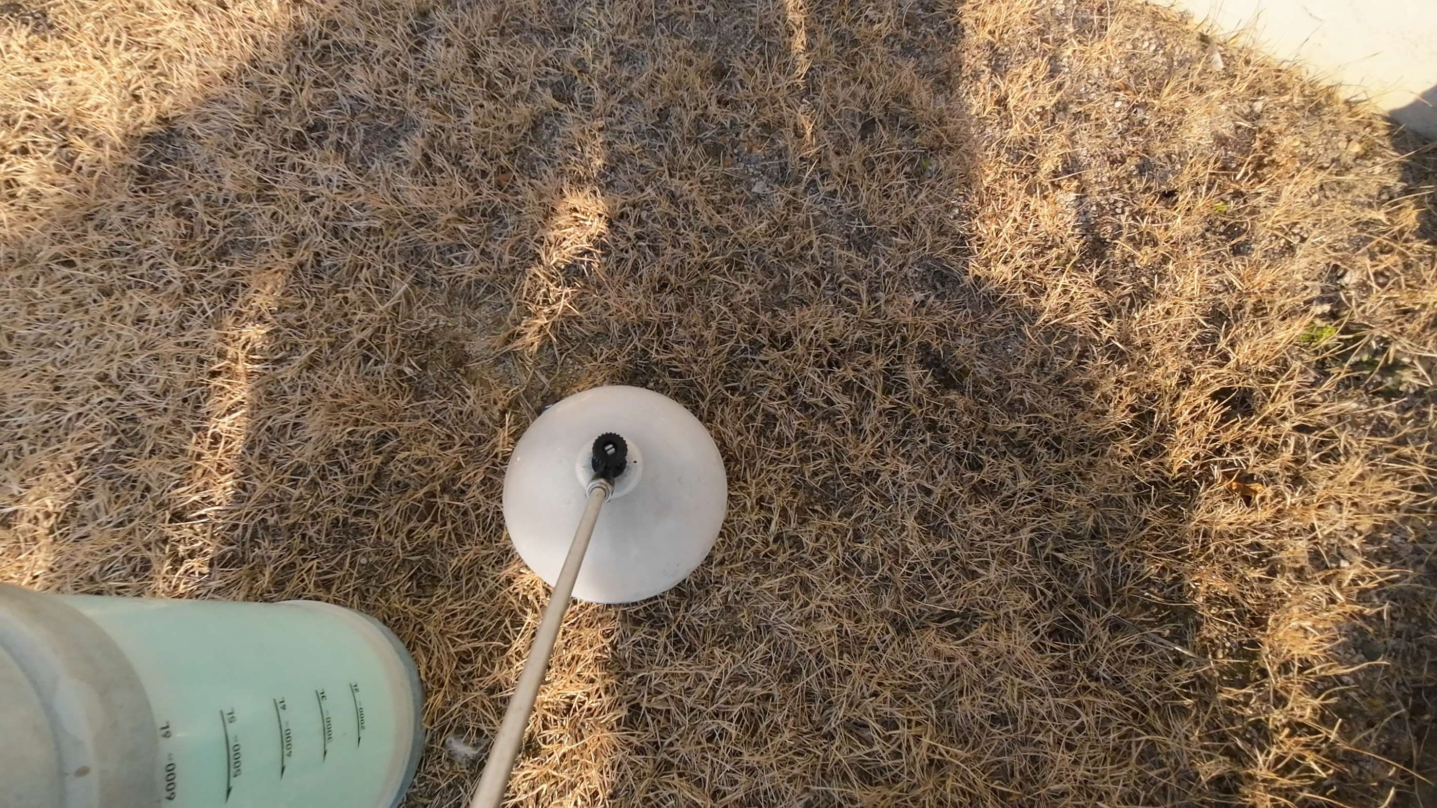 1740380445909.jpg