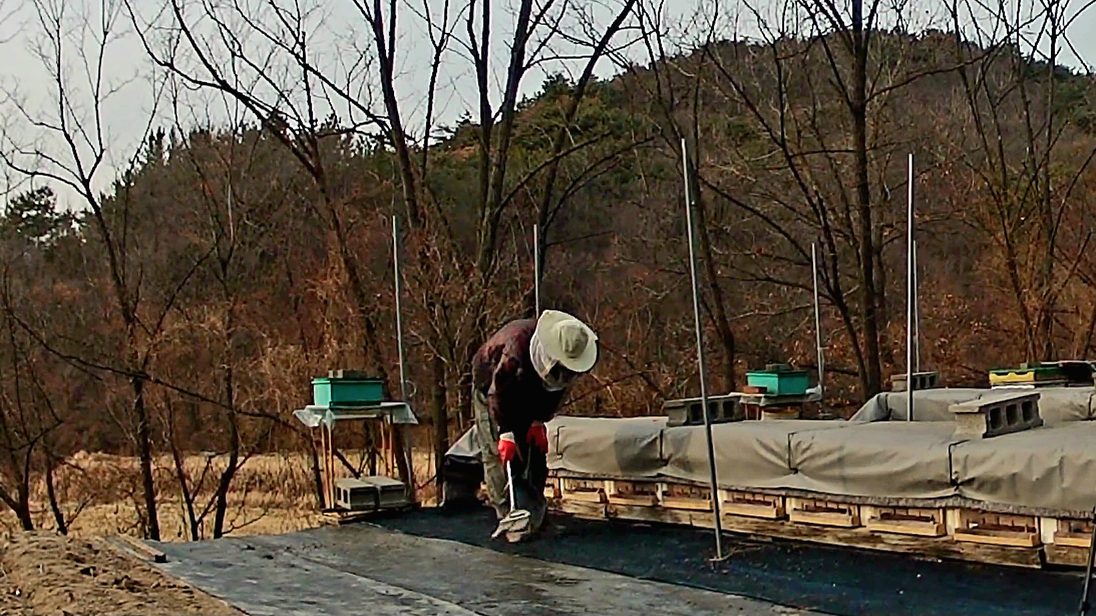 VideoCapture_20250121-105003.jpg