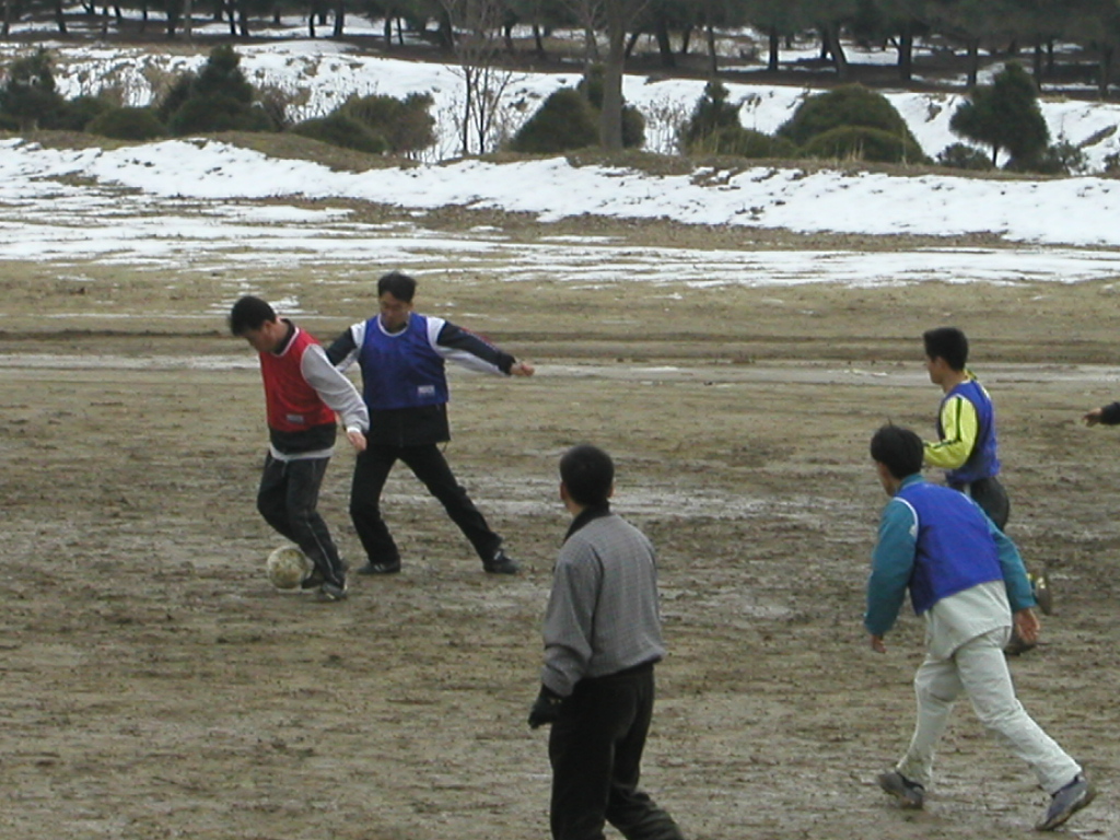 P1170016.jpg
