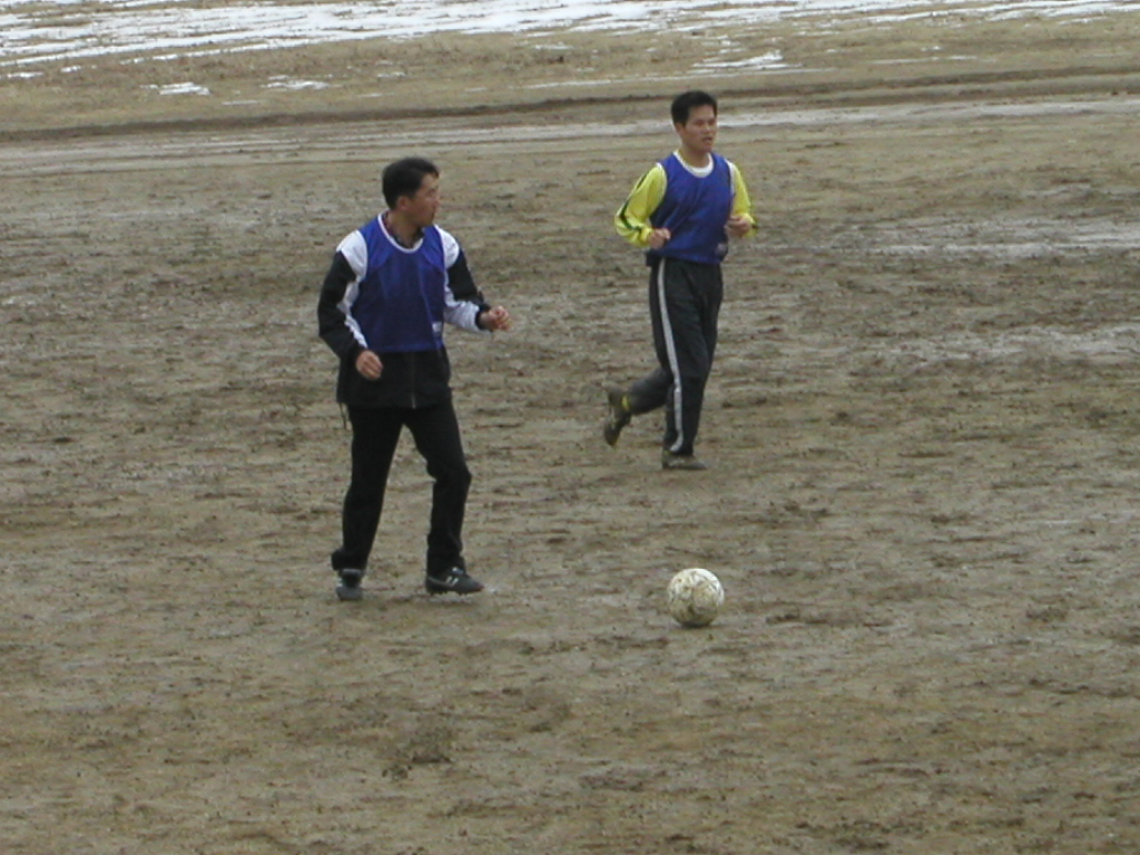 P1170017.jpg