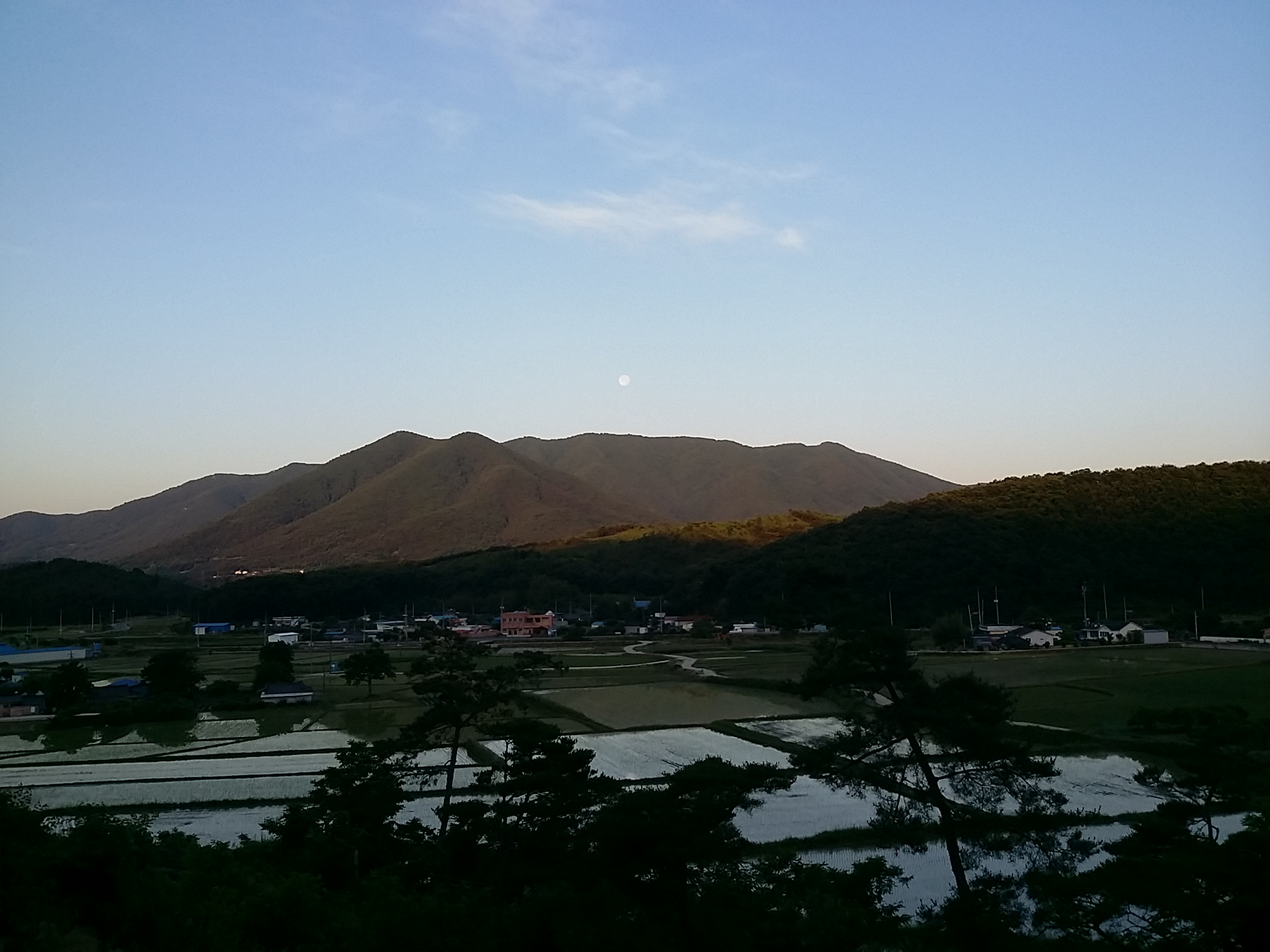 20150604_053323.jpg