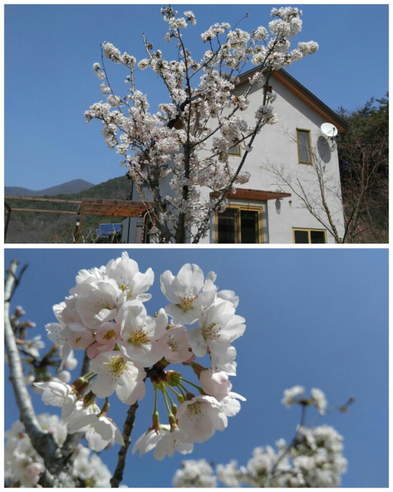 160416_213900_COLLAGE-1.jpg