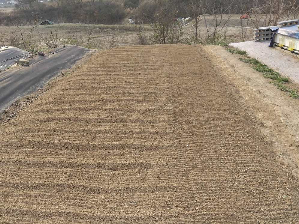 20160329_170820.jpg