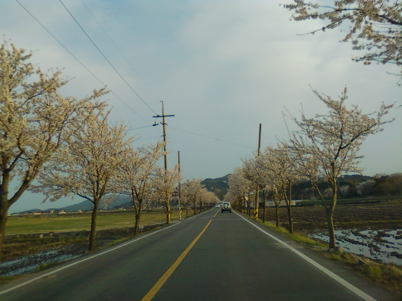 P100415002.jpg