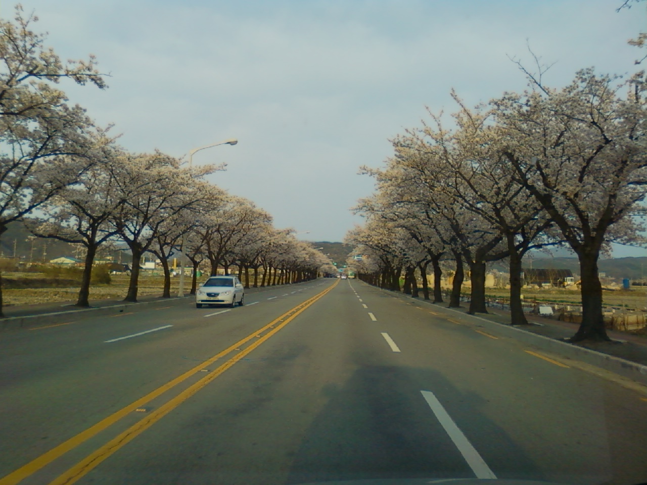 P100415001.jpg