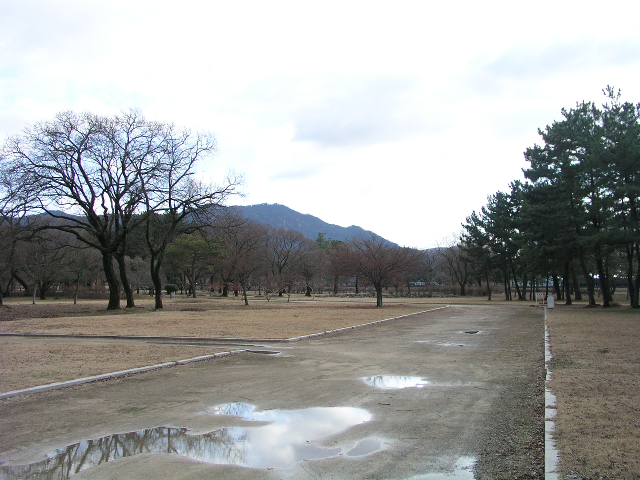 P1010009.jpg